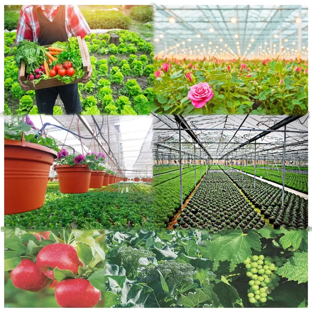 Horticulture Tirupati Biotech